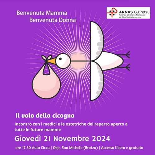 Volo Cicogna Novembre 2024