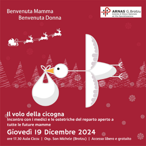 Il Volo della cicogna Dicembre 2024