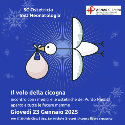 Il Volo della cicogna Gennaio 2025