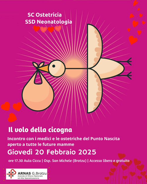 il volo della cicogna Febbraio 2025